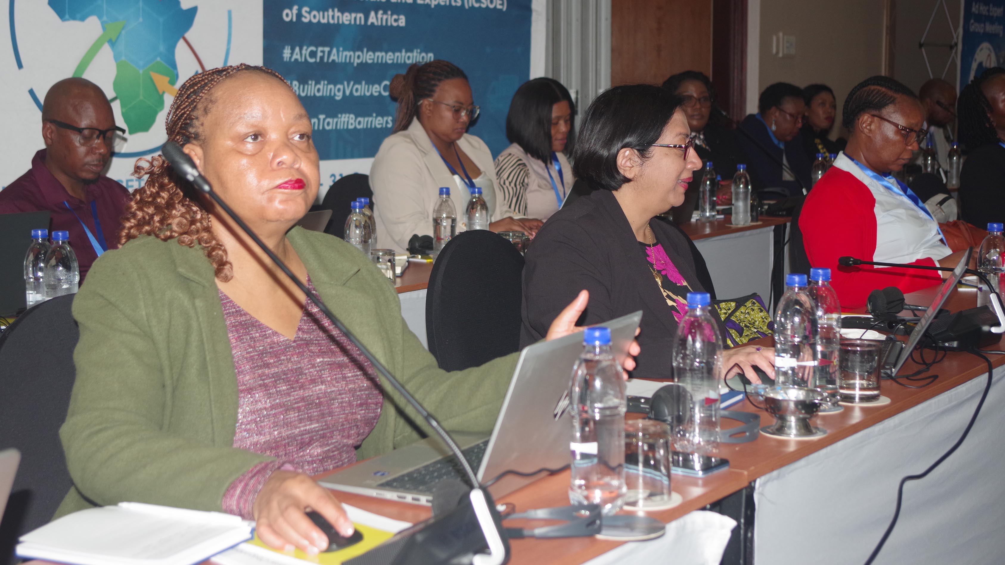 Some of the delegates attending 31st Session of the Intergovernmental Committee of Senior Officials and Experts. (Pics: Nhlanganiso Mkhonta)